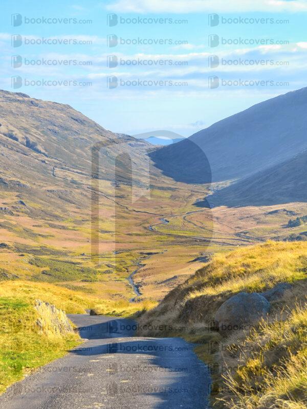 lesdale_26096063