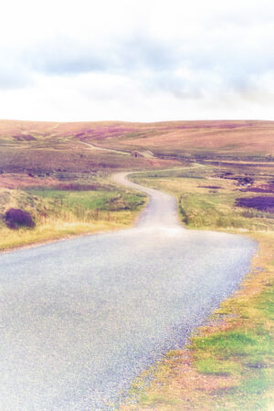 lesdale_26096095