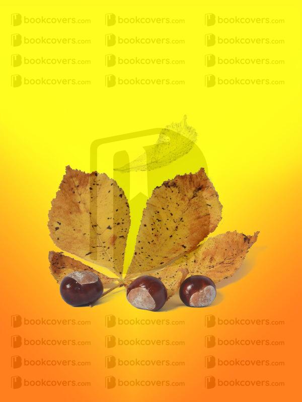 lesdale_26096445