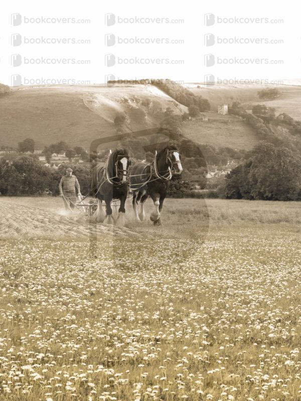 lesdale_26097401