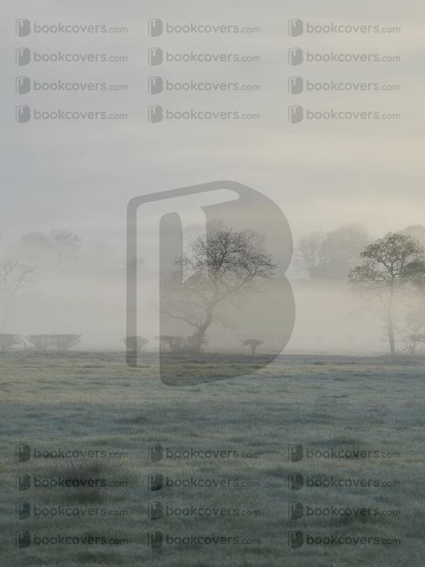 lesdale_26097130