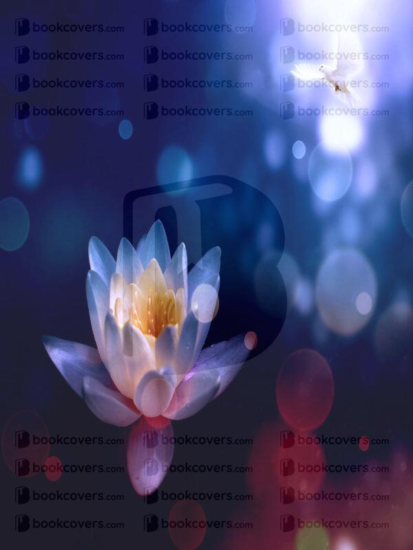 nishagandhi_26127614
