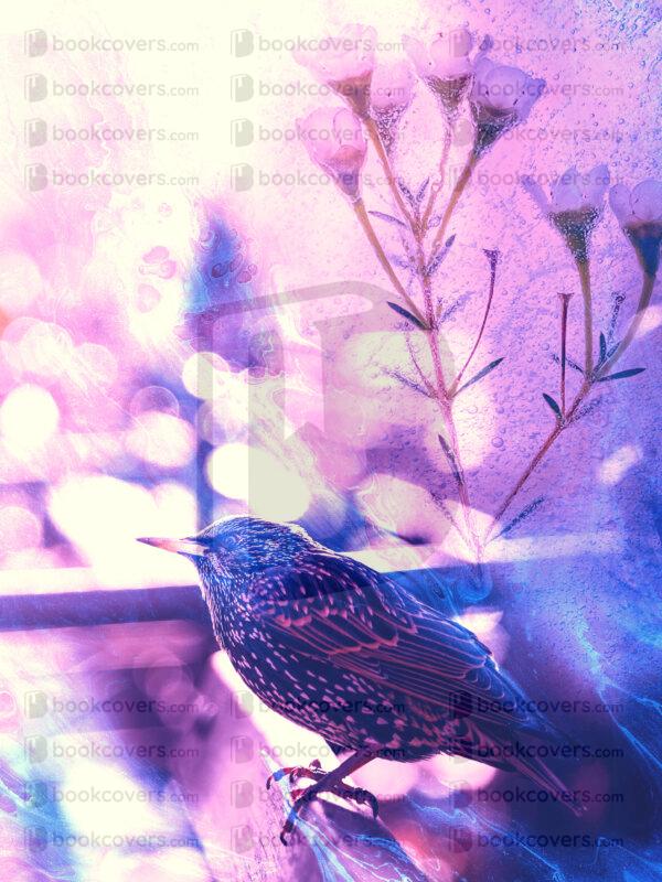 nishagandhi_26127822