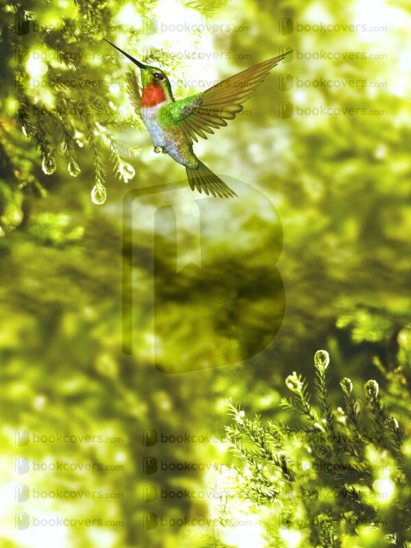 nishagandhi_26129641
