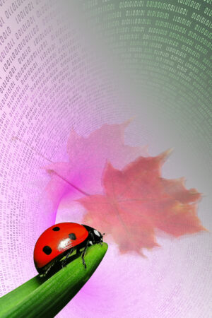 mplus_design_26132789