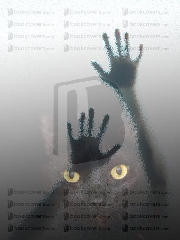 mplus_design_26133488