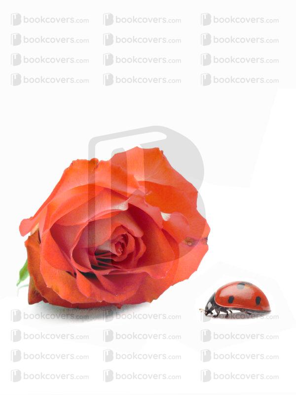 mplus_design_26134739