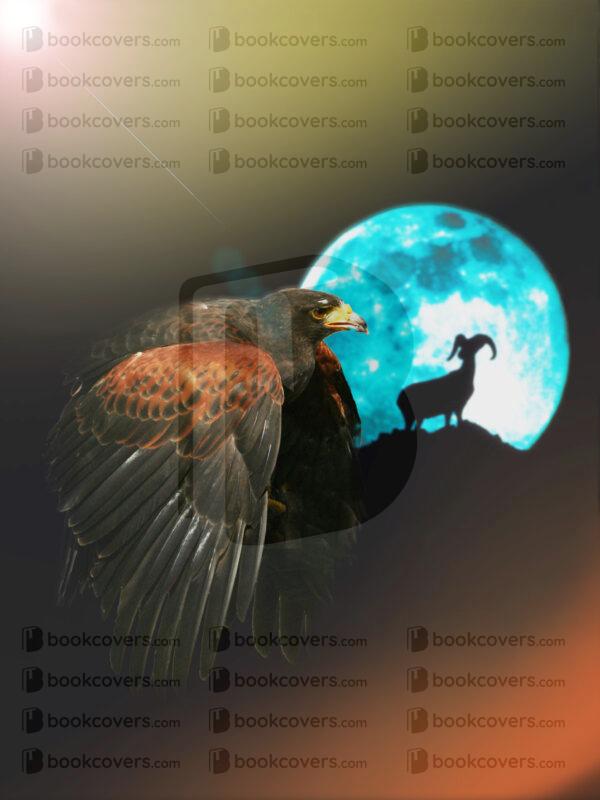 mplus_design_26135305