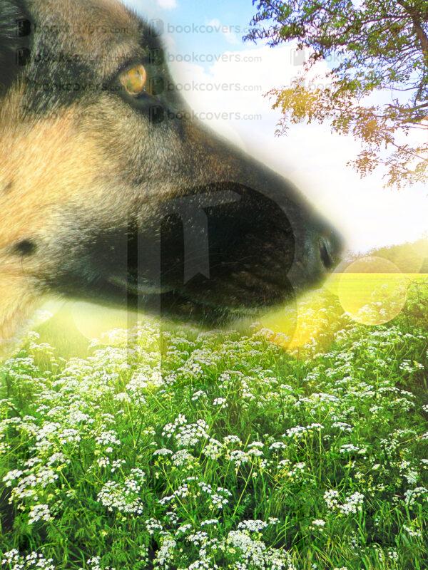 andrewgraphics_26140769