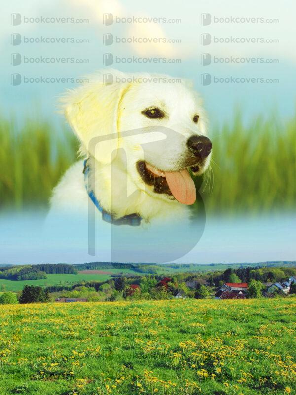 andrewgraphics_26140924