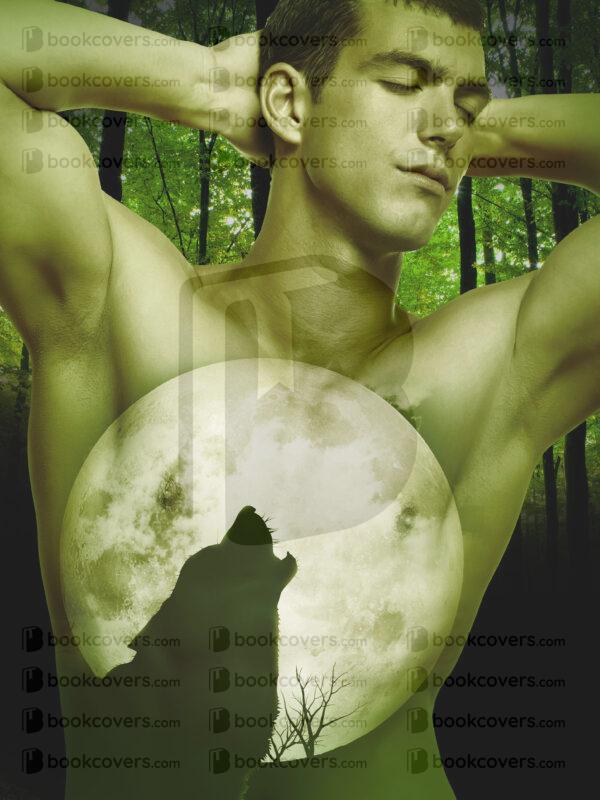 andrewgraphics_26097669