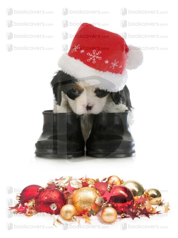andrewgraphics_26098590