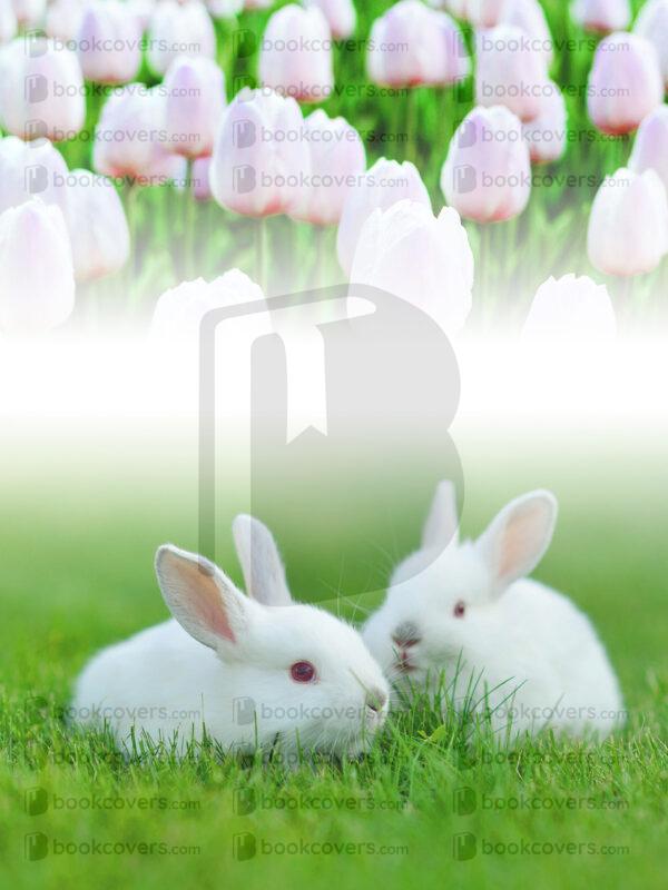 andrewgraphics_26102064
