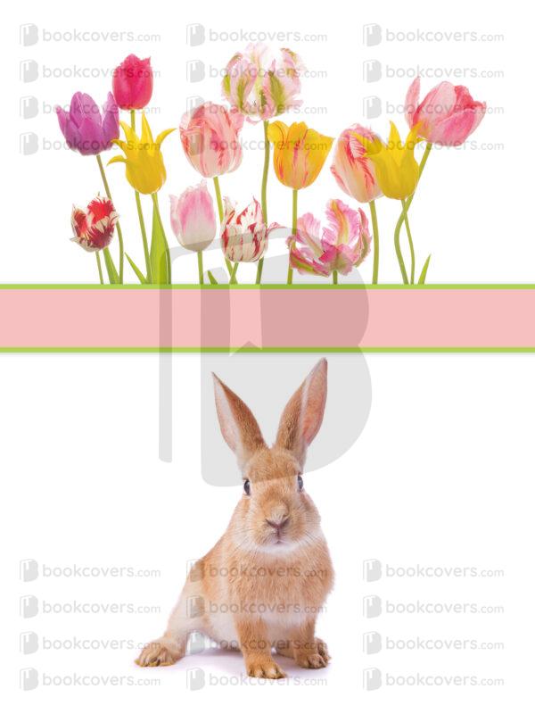 andrewgraphics_26102358
