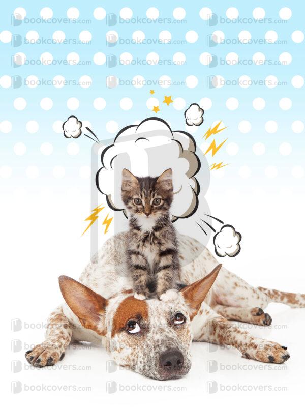 andrewgraphics_26104886