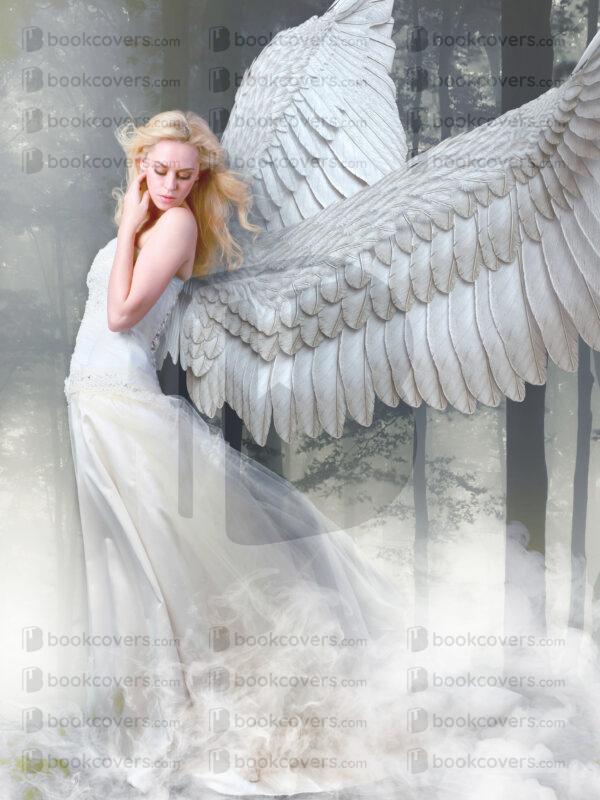 andrewgraphics_26109108