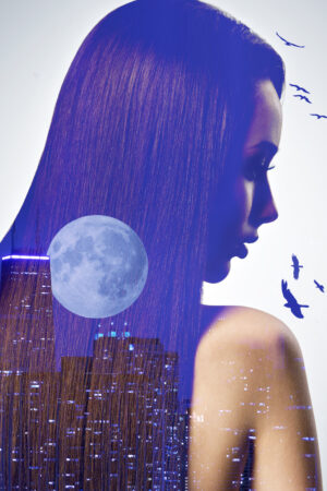 zendesign_26098493