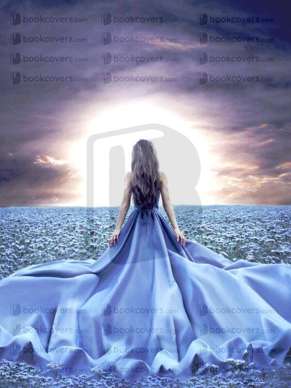 zendesign_26101147