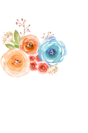 zendesign_26100577