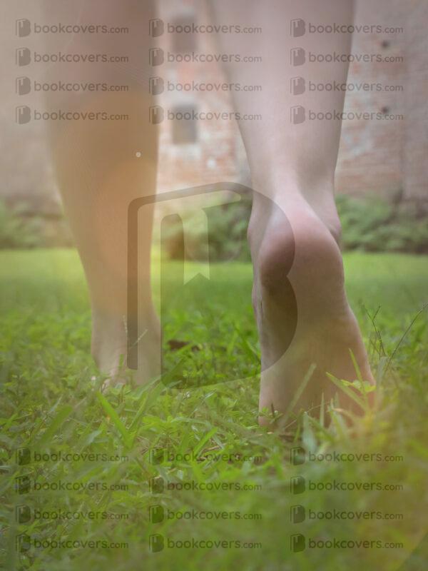 zendesign_26100886