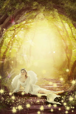 zendesign_26101889