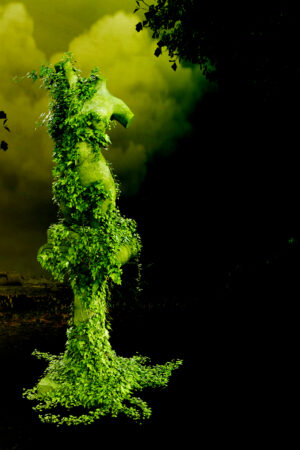 eblank_26200901
