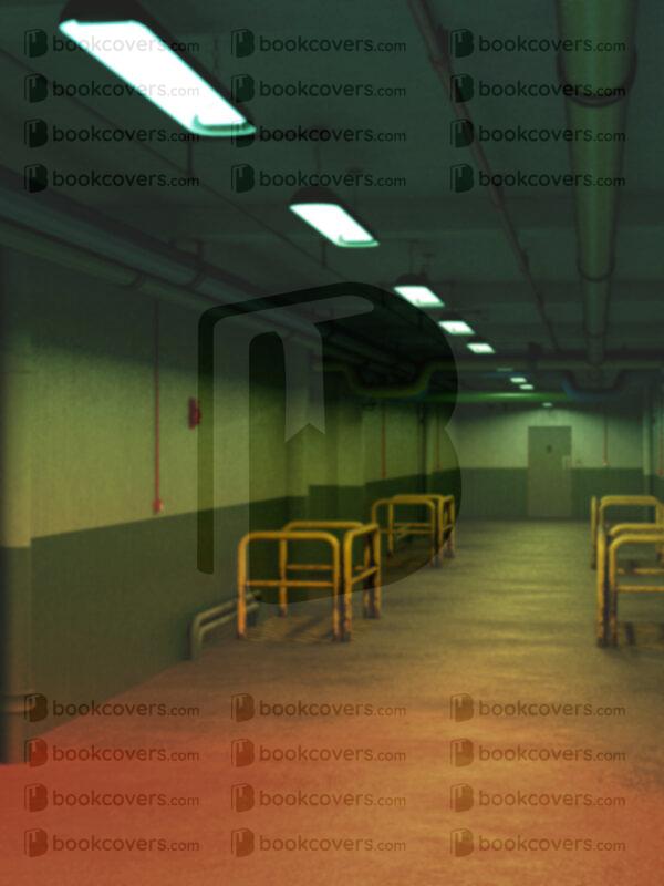 eblank_26181384