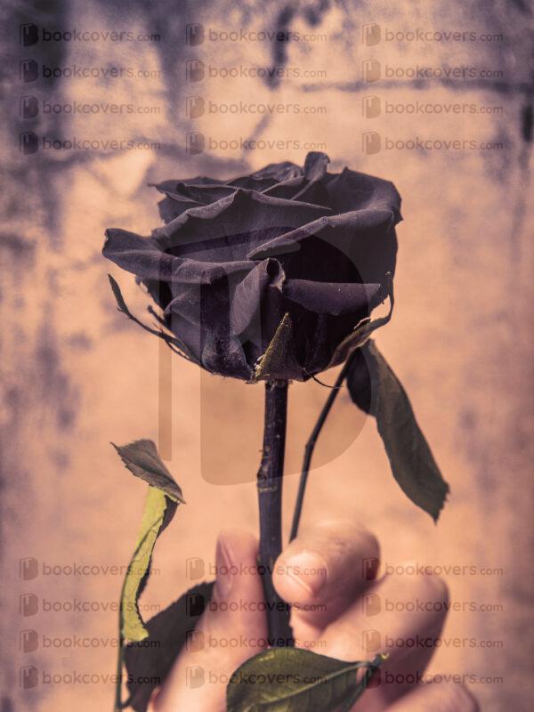 blinkblanc_26105961