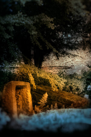blinkblanc_26105822