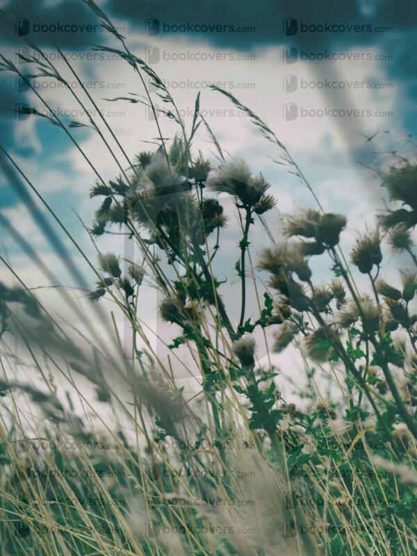 blinkblanc_26120550