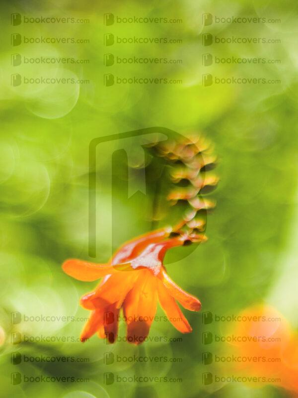 blinkblanc_26106263