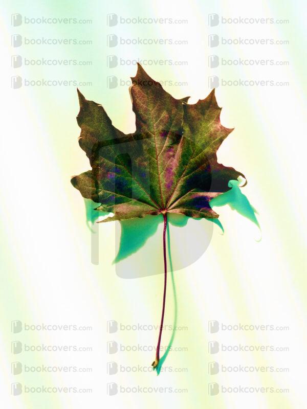 blinkblanc_26107870