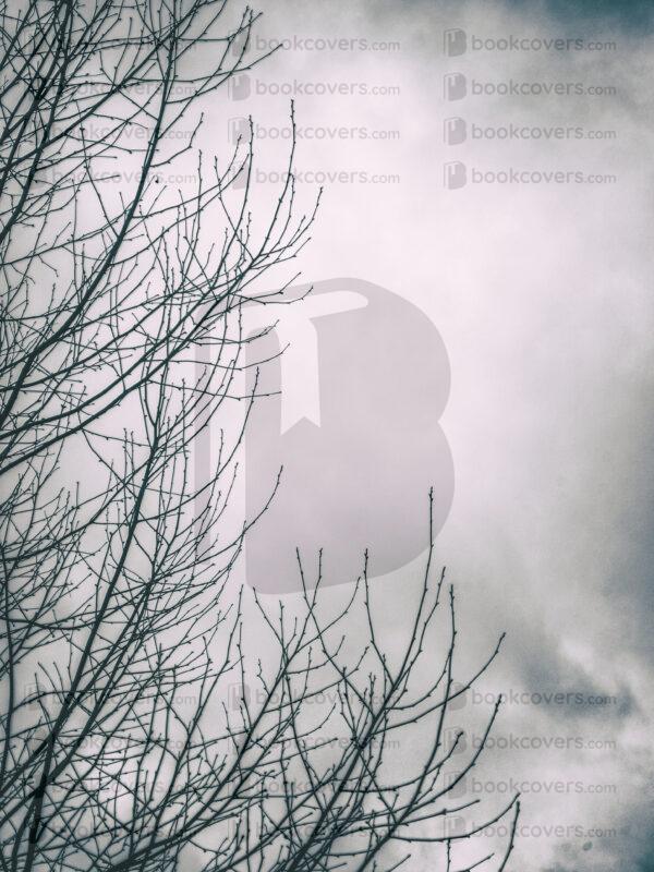 blinkblanc_26108575