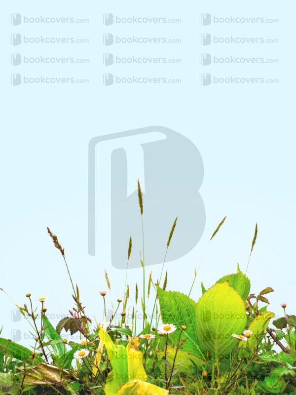 blinkblanc_26108797