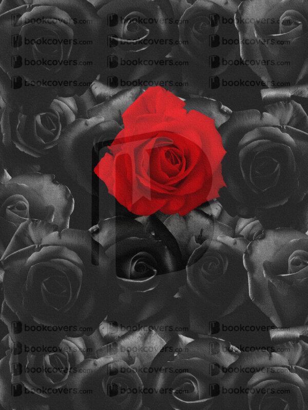 abeautifulmess_26101110