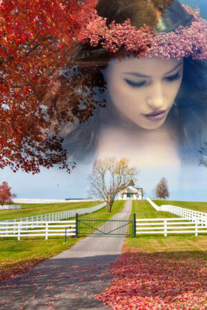 onlinedesign_26121082