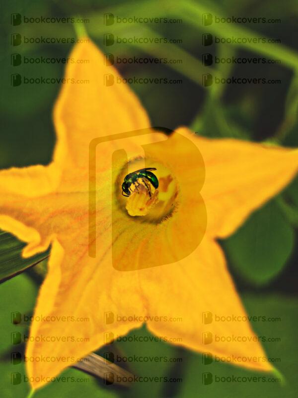littlehippiemama_26191125