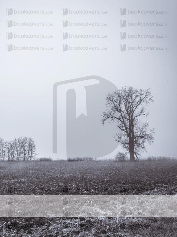 drawbridgep_26192408