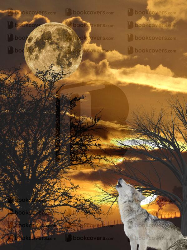 gharkness_26187972