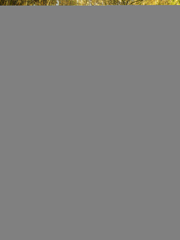 gharkness_26177536