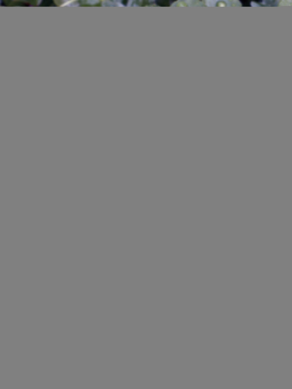 gharkness_26181882