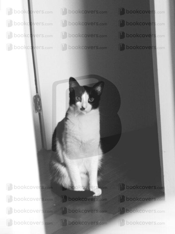 jules_26120845