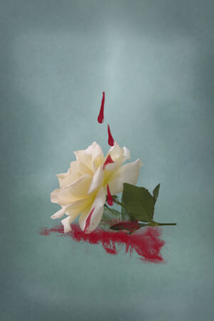 sierrame_26195510
