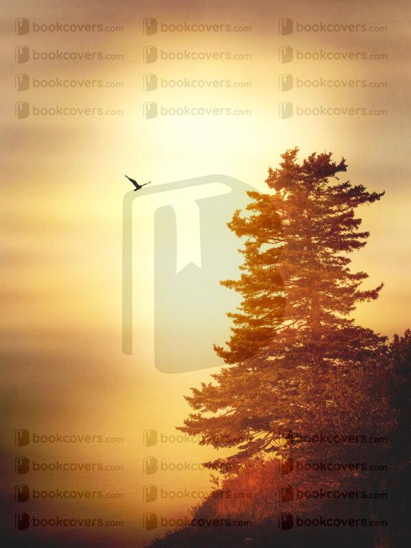 alderlake_26183981