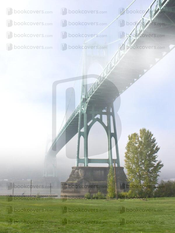 livingstonatlarge_26185397
