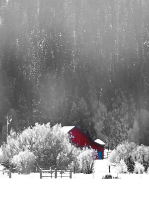 livingstonatlarge_26186409