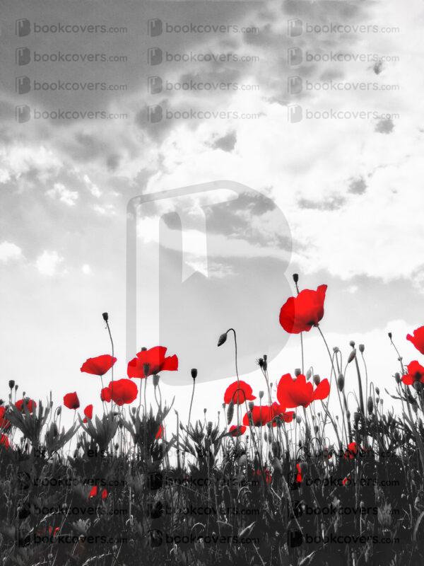 jayf_26187707