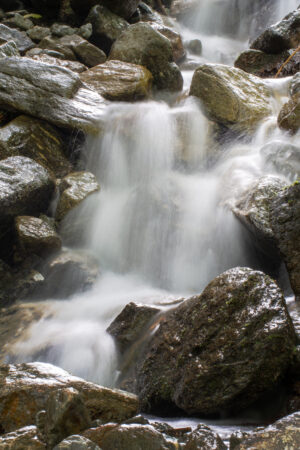 jayf_26183035
