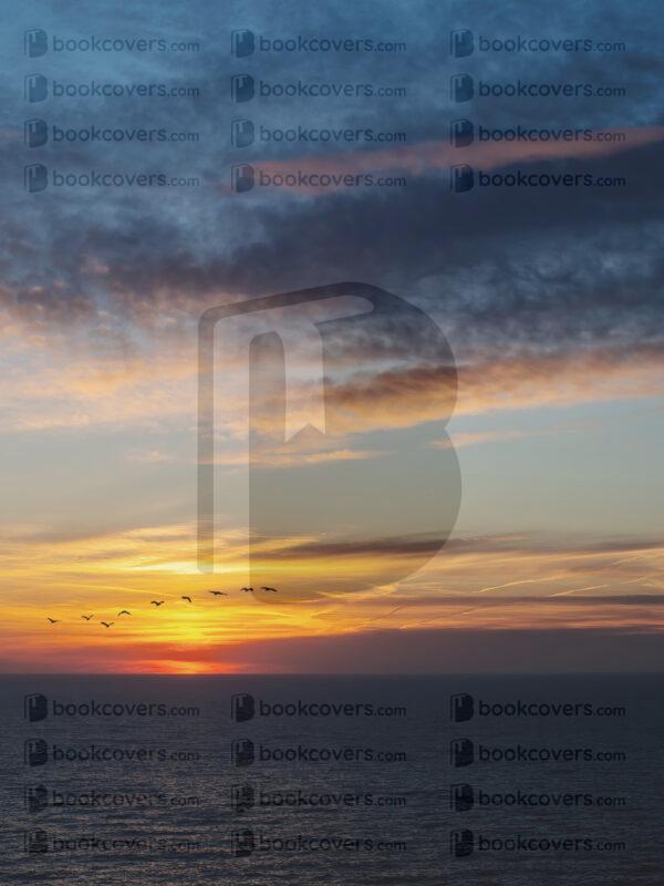 jayf_26183418