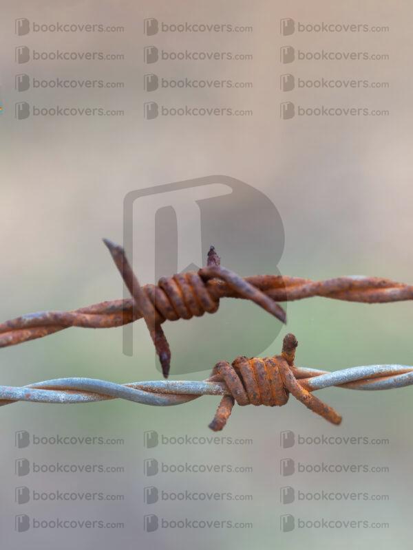 jayf_26100420